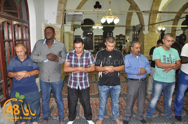 qader yaffa msajed (30).JPG